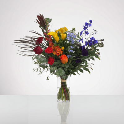 ג'ף קונס (Jeff Koons)