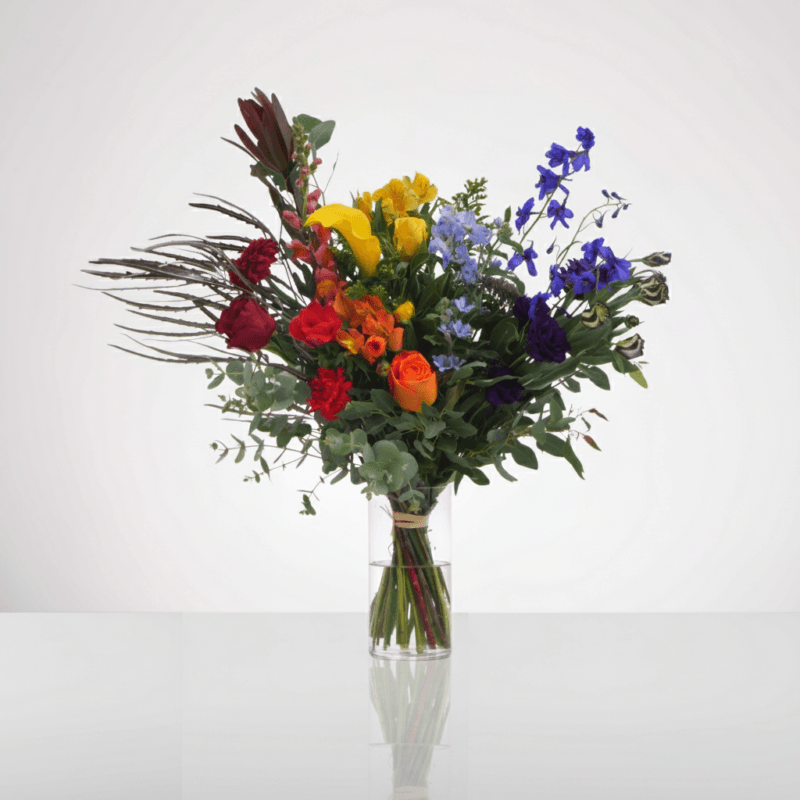 ג'ף קונס (Jeff Koons)
